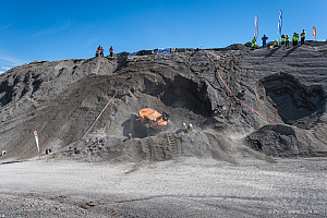 Martin Michaelsen, Insane