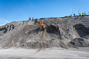 Martin Michaelsen, Insane