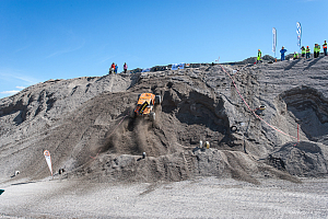 Martin Michaelsen, Insane