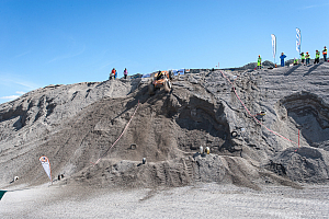 Martin Michaelsen, Insane