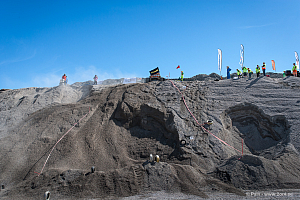 Martin Michaelsen, Insane