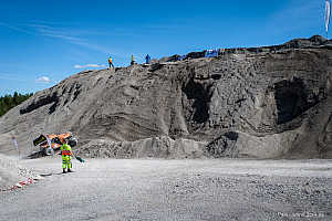 Martin Michaelsen, Insane