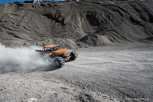 Martin Michaelsen, Insane