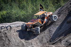 Martin Michaelsen, Insane