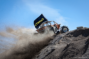 Martin Michaelsen, Insane