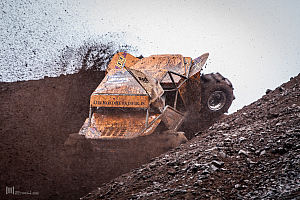 Svanur Örn Tómasson, Insane