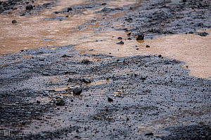 Josepsdalur Formula Offroad