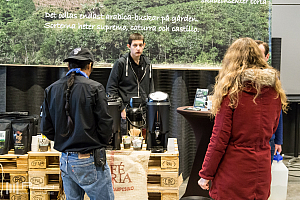 Timmen innan festivalen