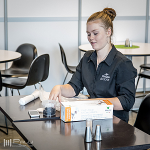 Timmen innan festivalen