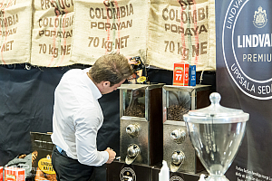 Timmen innan festivalen