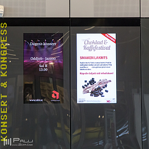 Timmen innan festivalen