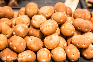 Uppsala Choklad & Kaffefestival