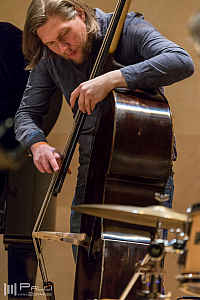 Valdimar K Sigurjónsson