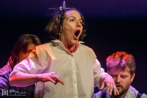 Michler, Meijer & More