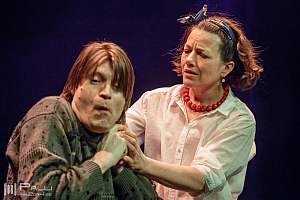 Michler, Meijer & More