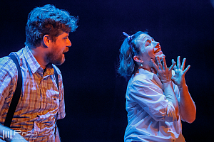 Michler, Meijer & More