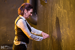 The Naked Stage - Regina Saisi