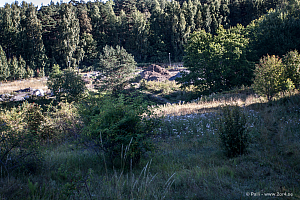 Mellan Gottsunda och Valsätra