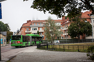 Munkgatan, Domkyrkan i dimman
