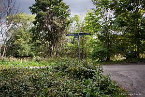 Under Kungsängsbron