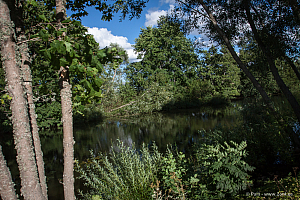 Vid Fyrisån strax söder om Kungsängsbron