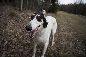 Katinka, Hedra och Ivra på Gottsundagipen