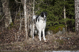 Katinka, Hedra och Ivra på Gottsundagipen