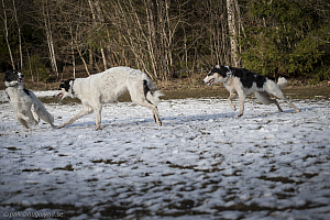 Katinka, Hedra och Ivra på Gottsundagipen