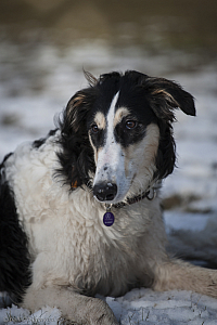 Katinka, Hedra och Ivra på Gottsundagipen
