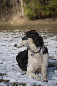 Katinka, Hedra och Ivra på Gottsundagipen