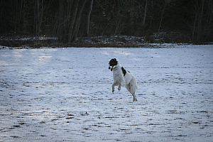 Katinka, Hedra och Ivra på Gottsundagipen