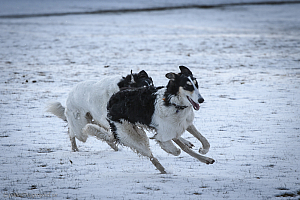 Katinka, Hedra och Ivra på Gottsundagipen