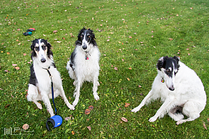 Gottsundagipen, Ivra, Katinka, Hedra