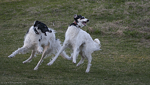 Promenad 30 april 2011