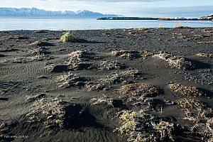 Standen vid Húsavík