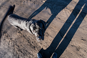 Färgkort från Vallakot
