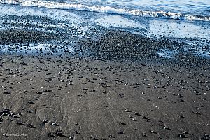 Standen vid Húsavík