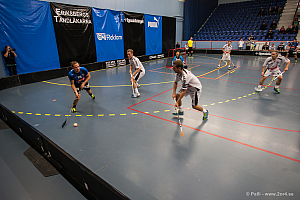 Sirius - Caperiotäby