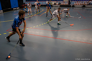 Sirius - Caperiotäby