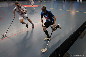 Sirius - Caperiotäby