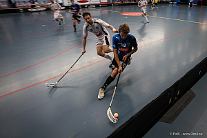 Sirius - Caperiotäby