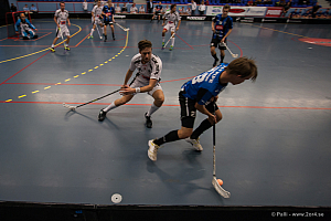 Sirius - Caperiotäby