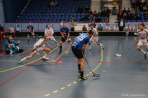 Sirius - Caperiotäby