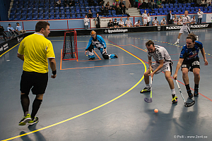 Sirius - Caperiotäby