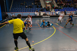 Sirius - Caperiotäby