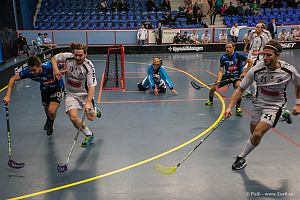 Sirius - Caperiotäby