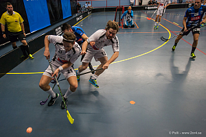 Sirius - Caperiotäby