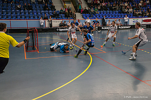 Sirius - Caperiotäby