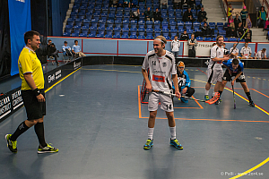 Sirius - Caperiotäby