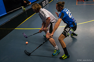 Sirius - Caperiotäby